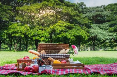 View of apples in basket on field against trees