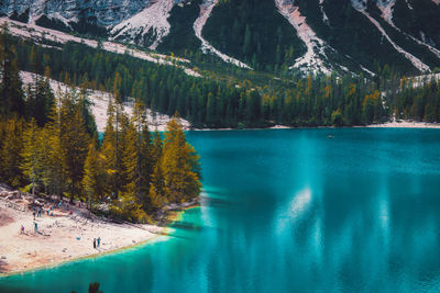 Scenic view of lake in forest