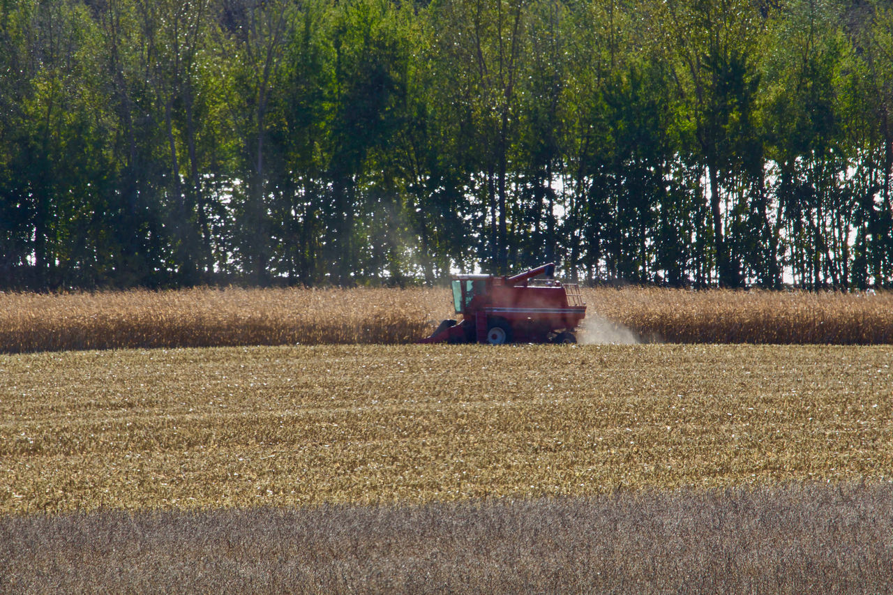 TRACTOR ON FIELD