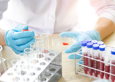 Cropped image of scientist examining chemical in laboratory