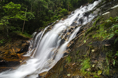 Scenic view of waterfall in forest