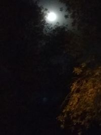 Low angle view of illuminated moon at night