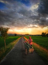 Man carrying bamboos on bicycle against sky during sunset