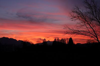Silhouette trees against dramatic sky during sunset