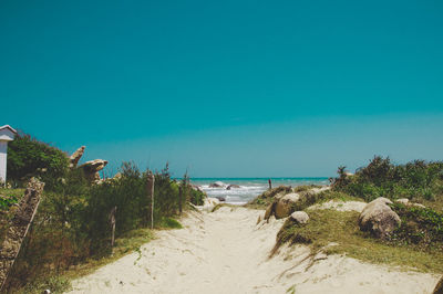 Scenic view of beach against clear blue sky