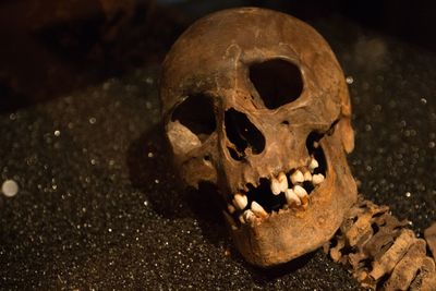 Close-up of human skull