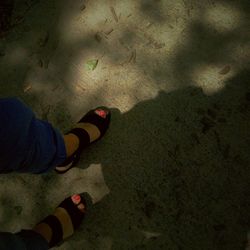 Low section of woman standing on road