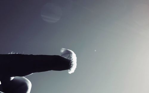 Cropped silhouette finger on person touching feather against clear sky