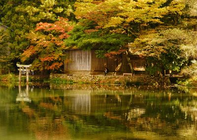 Lake by trees during autumn