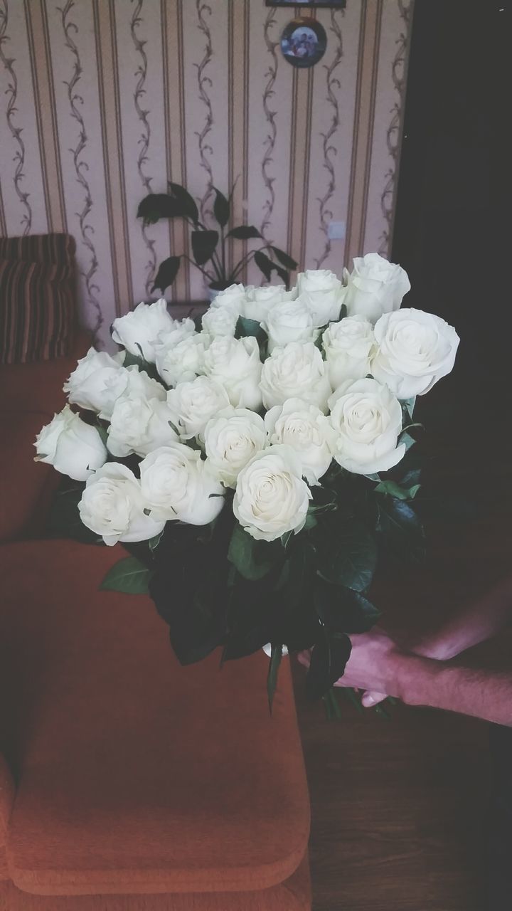 flower, indoors, white color, petal, fragility, freshness, home interior, vase, decoration, table, flower head, bunch of flowers, white, close-up, wood - material, nature, high angle view, beauty in nature, bouquet, no people