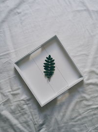 Directly above shot of leaf placed in plate on white sheet