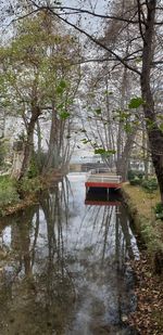 Scenic view of lake by trees in forest