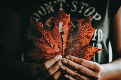 Close-up of hand holding maple leaf during autumn