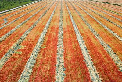 Full frame shot of agricultural field