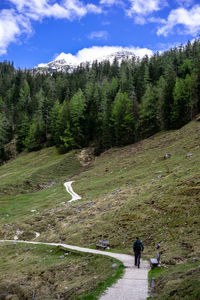 People on street amidst trees against sky