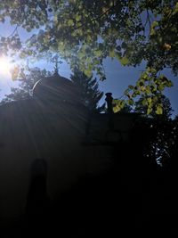 Low angle view of trees against sky