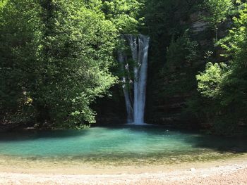 Scenic view of waterfall in forest