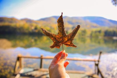 Cropped hand holding leaf against lake