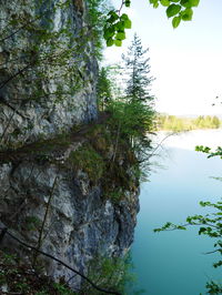 Scenic view of lake in forest against sky