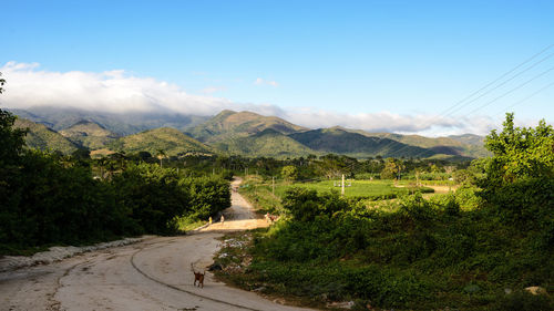 Scenic view of landscape against sky