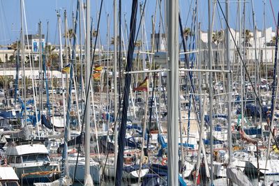 Sailboats moored in harbor