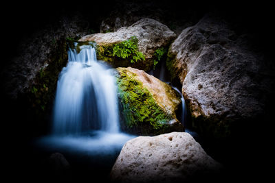 Scenic view of waterfall in forest