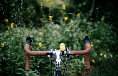 Man riding bicycle on plants