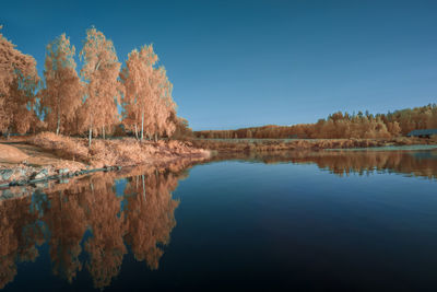 Reflection of trees in lake against blue sky