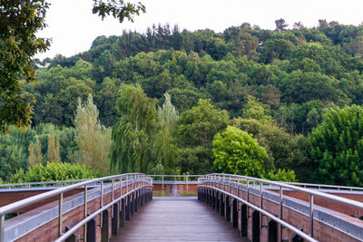 Bridge amidst trees in forest