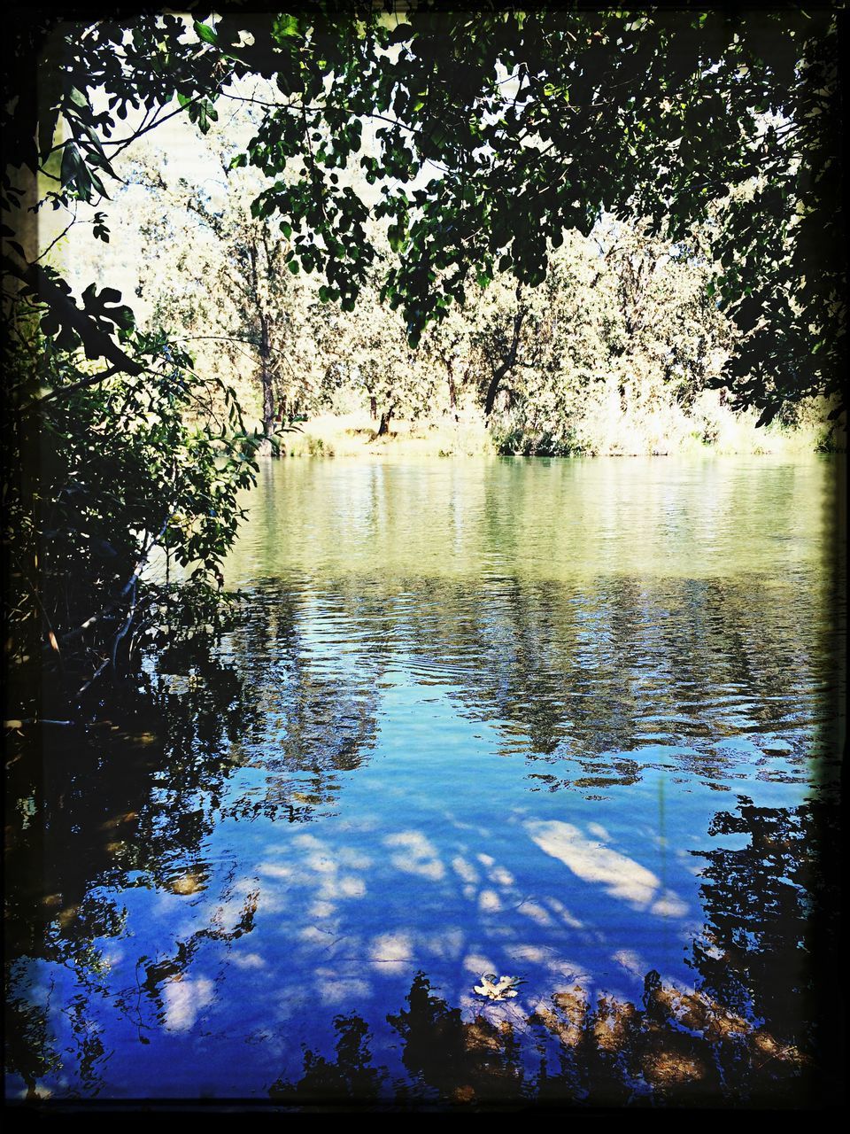 reflection, water, lake, tree, tranquility, transfer print, tranquil scene, beauty in nature, auto post production filter, nature, scenics, growth, branch, sky, standing water, waterfront, pond, idyllic, no people, outdoors