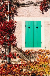 Closed door of house