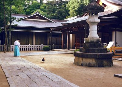 Trees in front of building