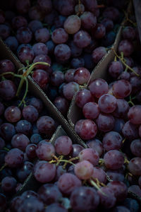 Full frame shot of grapes