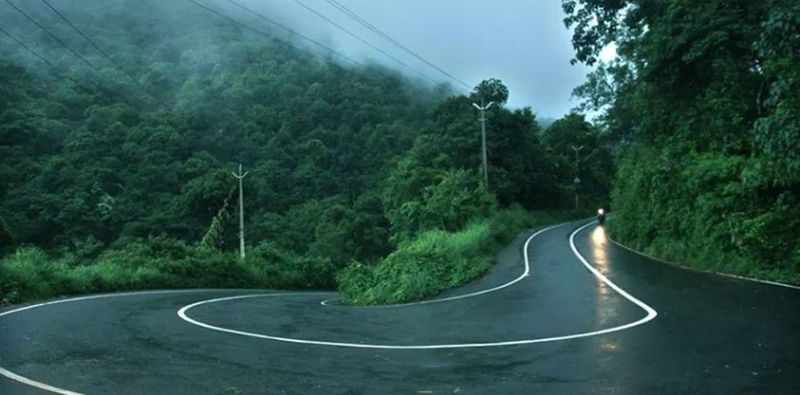 road, tree, transportation, the way forward, country road, tranquility, diminishing perspective, tranquil scene, landscape, road marking, sky, green color, vanishing point, nature, scenics, beauty in nature, curve, empty road, mountain, countryside