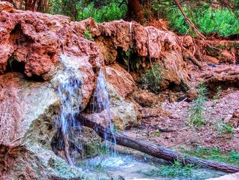 Water flowing through rocks in forest