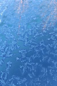 High angle view of snowflakes on glass window