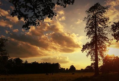 Scenic view of landscape against cloudy sky