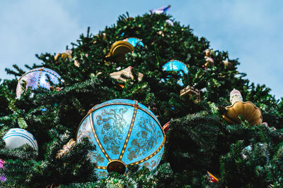 Low angle view of plants against trees