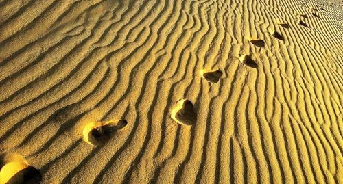 Full frame shot of sand dune