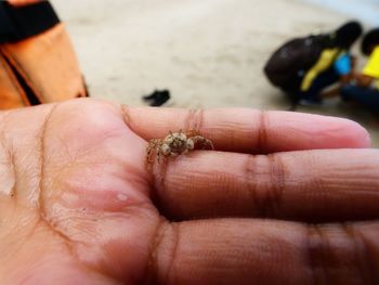 Close-up of person holding hand