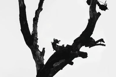 Low angle view of silhouette tree against clear sky