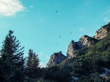 Low angle view of trees against sky
