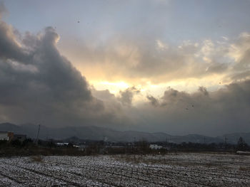 Scenic view of field against sky during sunset