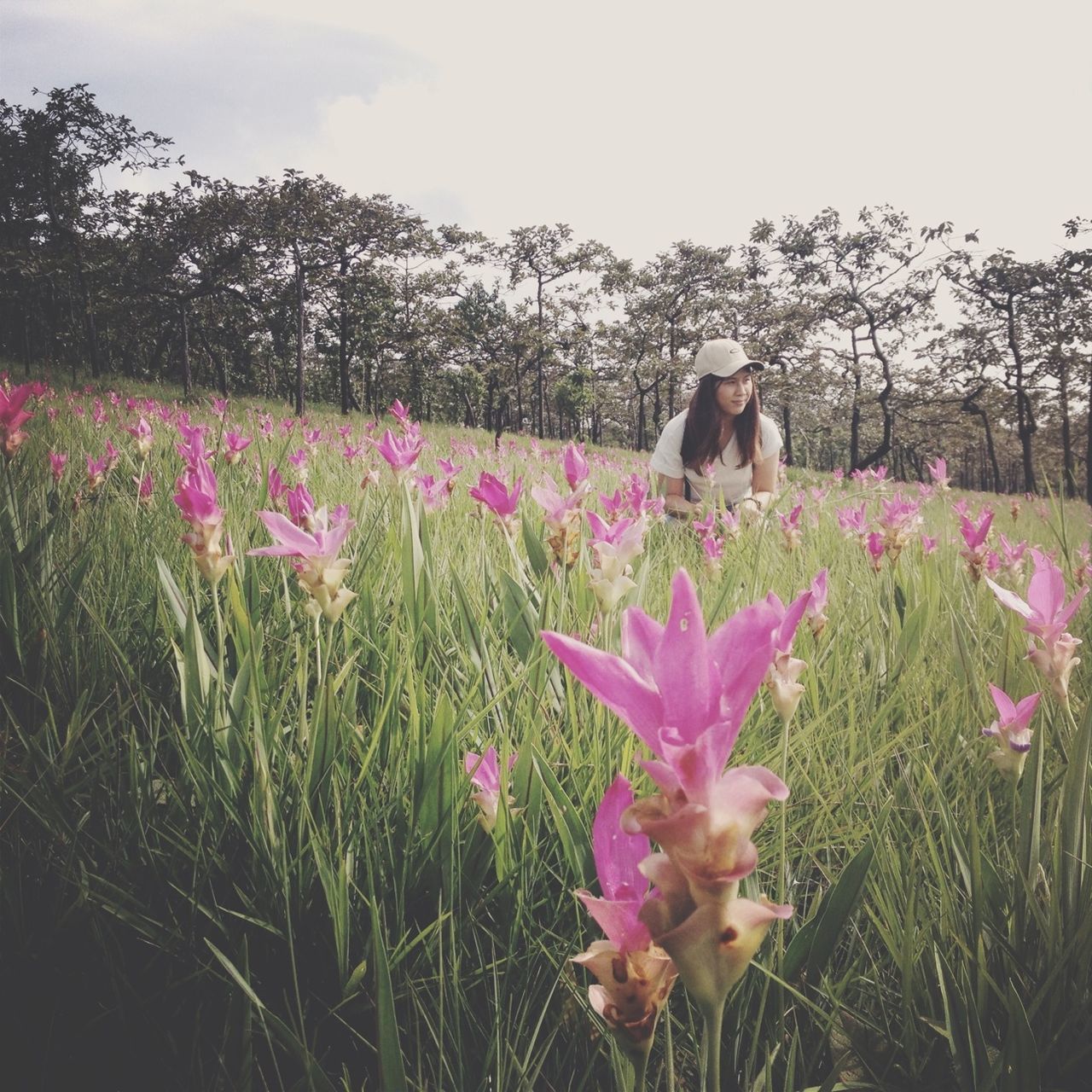 flower, field, growth, beauty in nature, grass, freshness, leisure activity, lifestyles, fragility, nature, plant, tree, landscape, blooming, standing, full length, day, sky