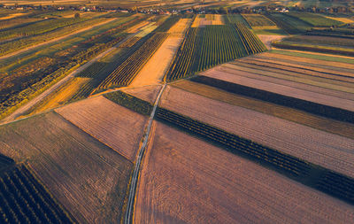 High angle view of agricultural field