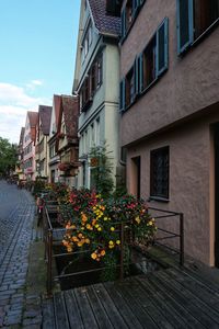 Potted plant on footpath by buildings against sky