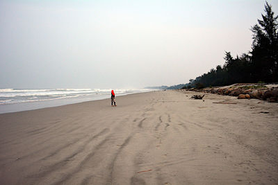 Rear view of man on beach against clear sky