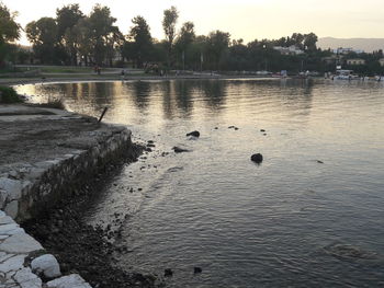 View of ducks swimming in lake