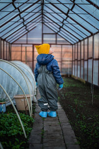 Rear view of boy standing in greenhouse