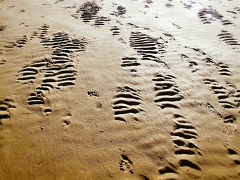 High angle view of footprints on wet sand